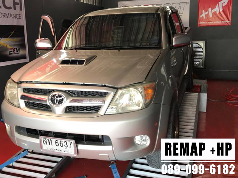 REMAP vigo